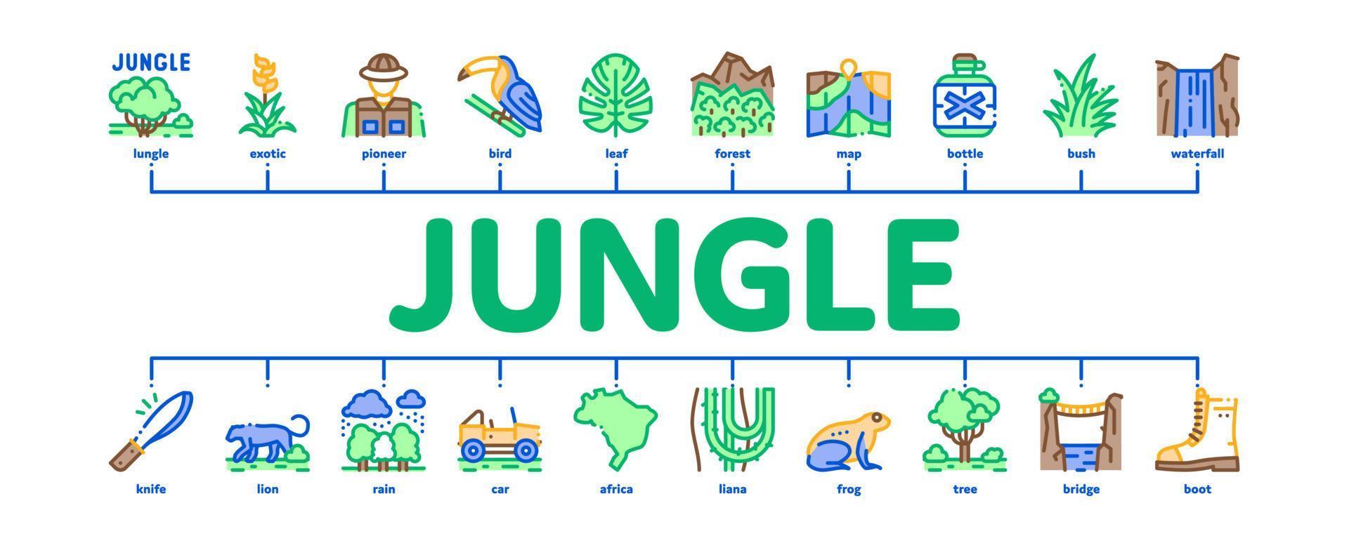 Jungle Tropical Forest Minimal Infographic Banner Vector Flat