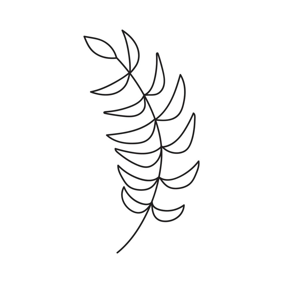 Hand drawn branch with leaves vector