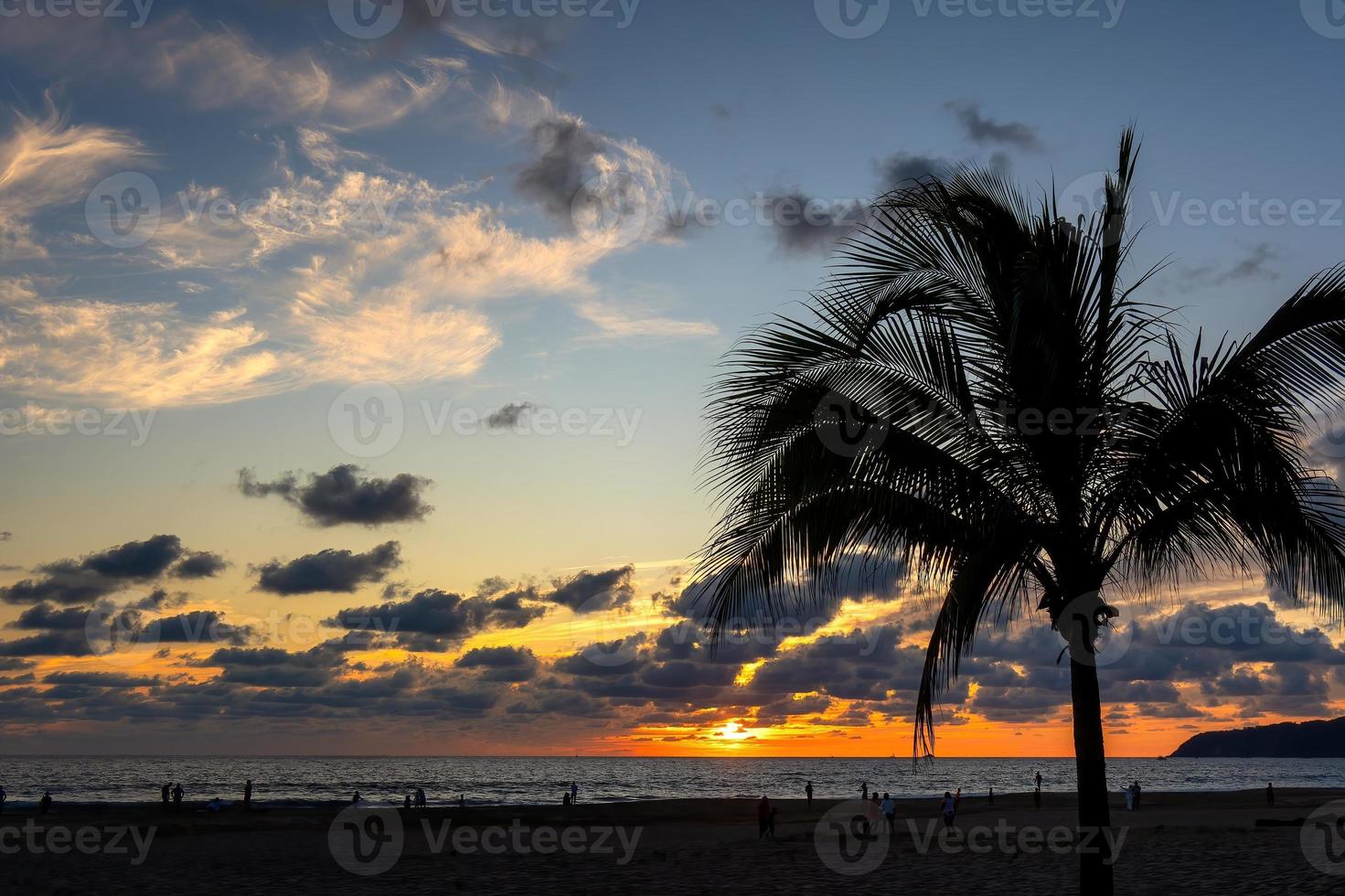 Palm tree on the beach during sunset with space for text photo