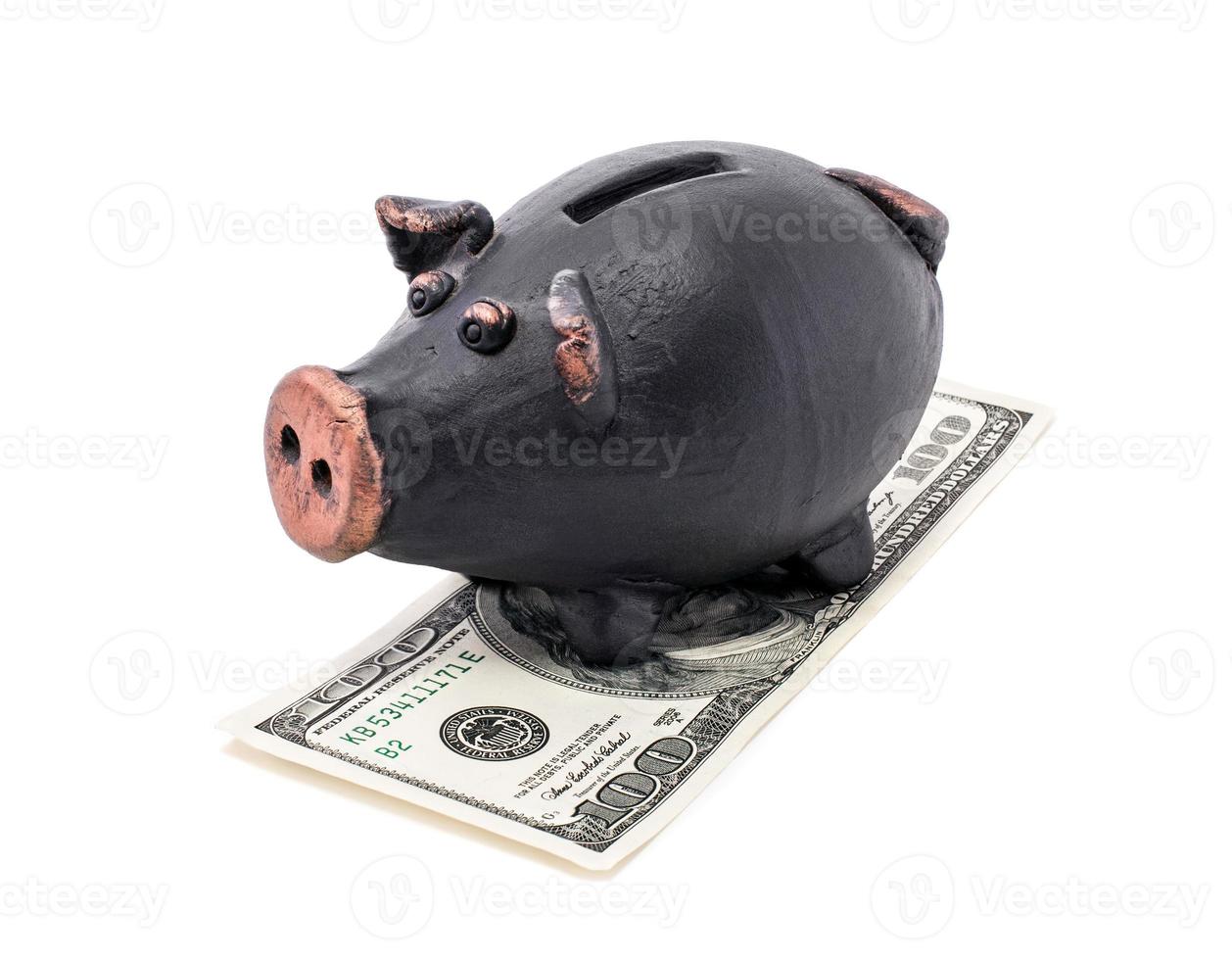 Money and piggy bank photo