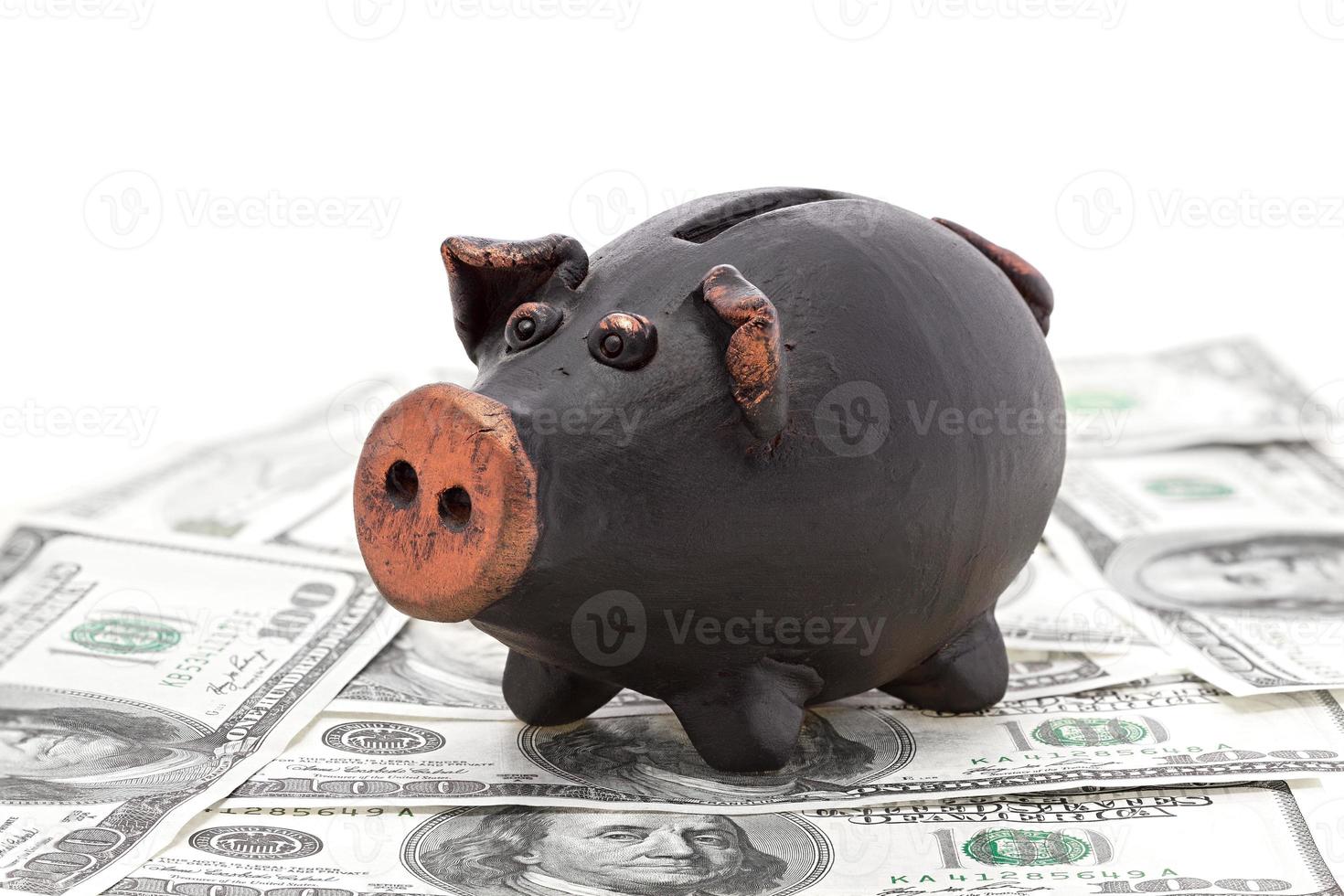 Money and black piggy bank photo