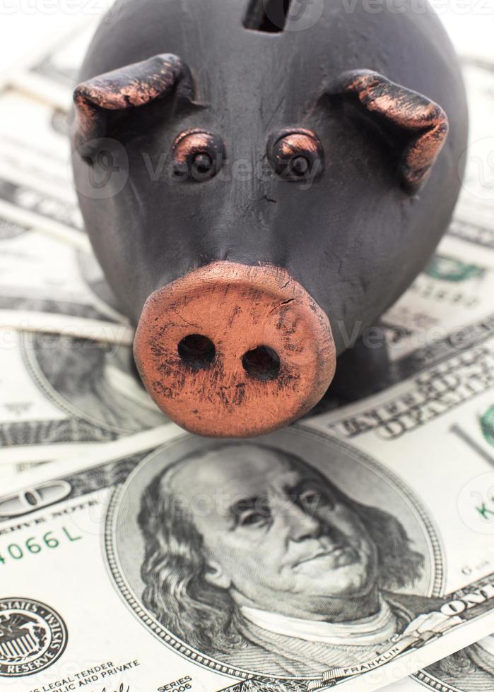 Money and piggy bank photo