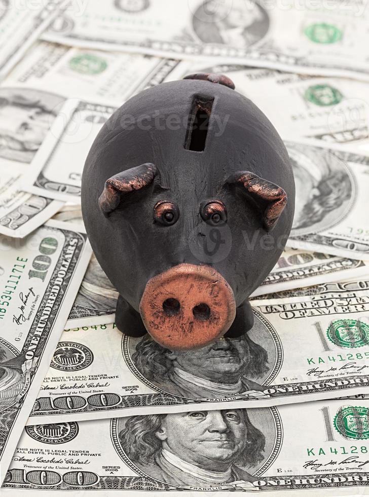 Money and piggy bank photo