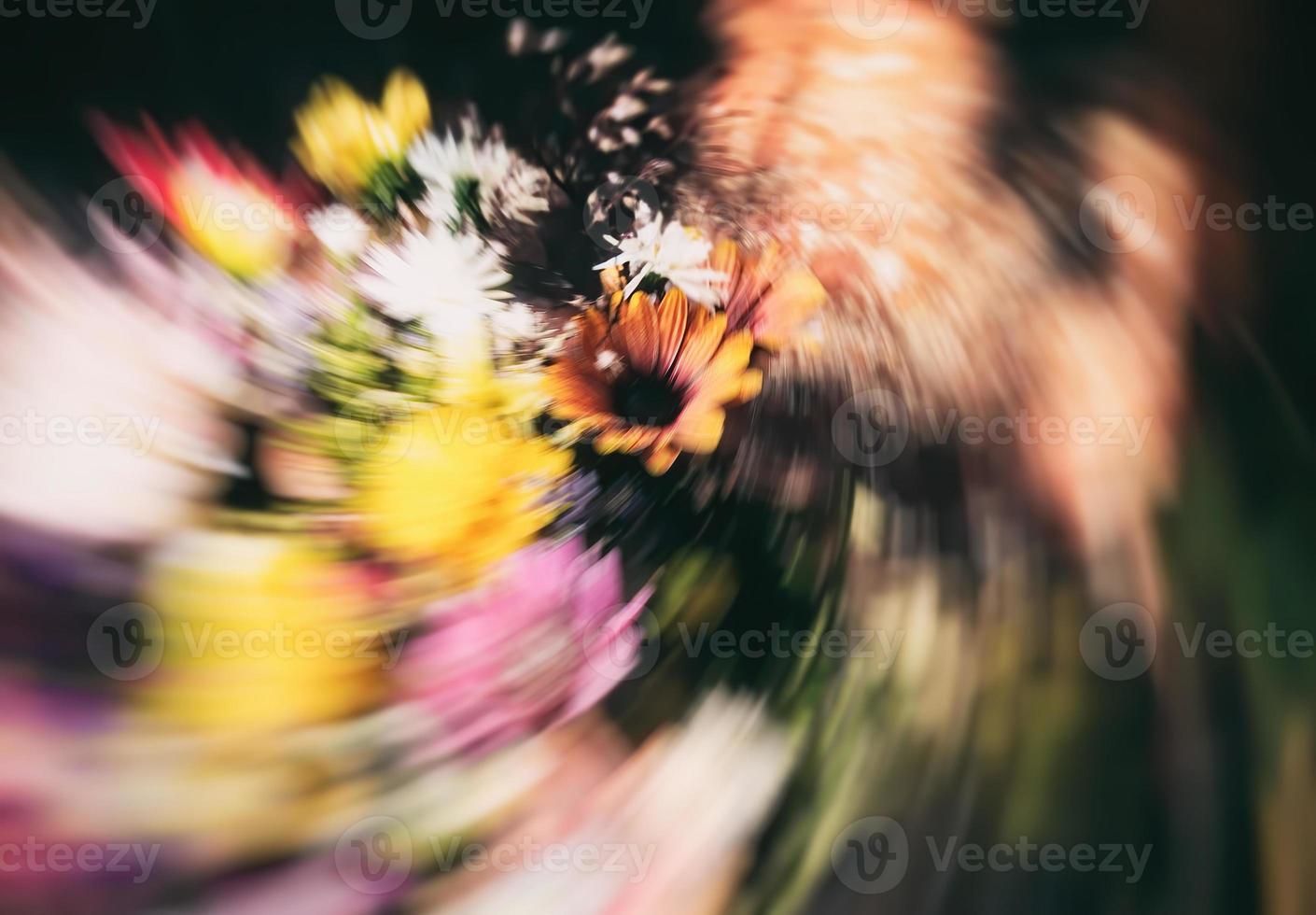 Blurred floral background photo