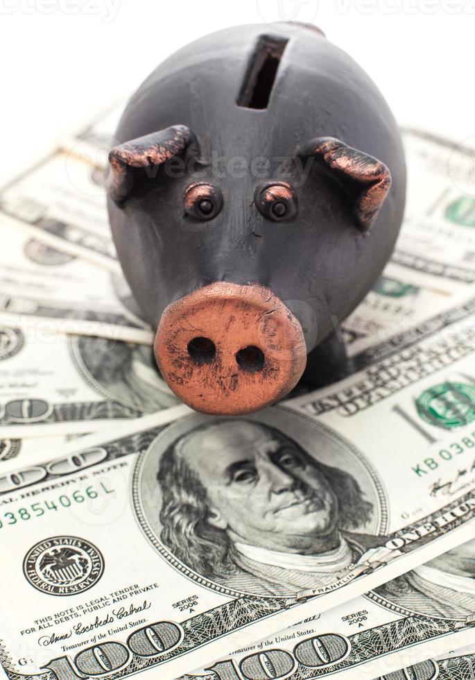 Money and piggy bank photo