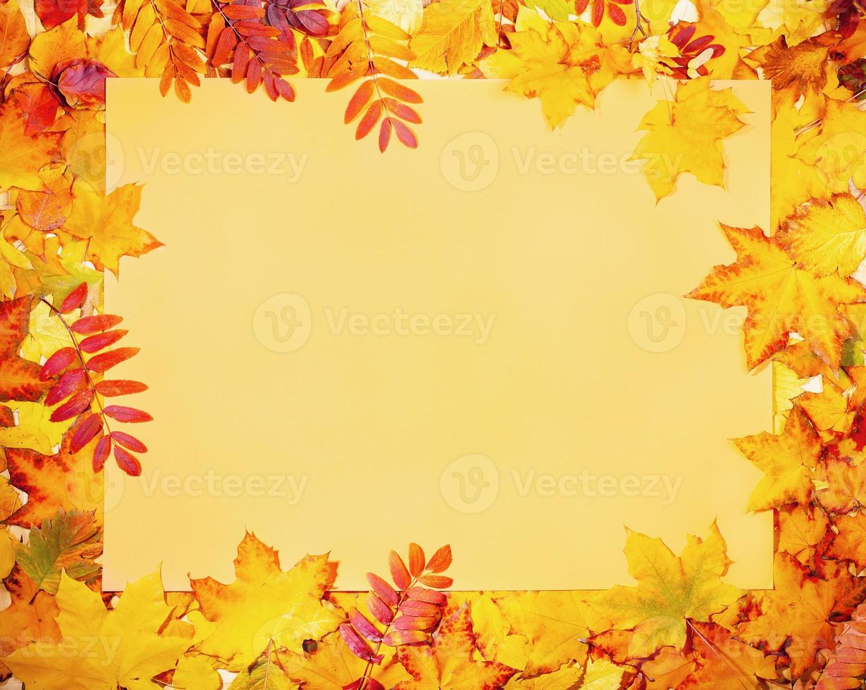 Frame of beautiful fall leaves with yellow empty paper sheet in center with copy space. photo