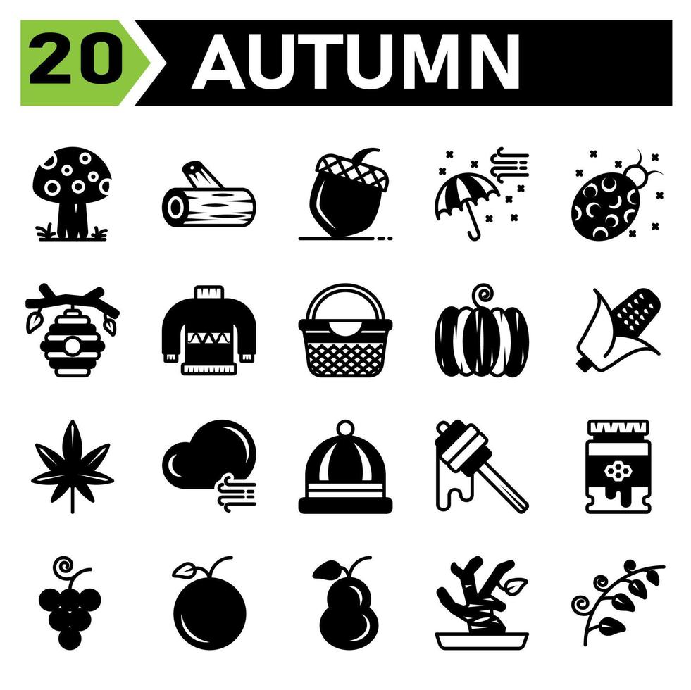 Autumn icon set include mushroom fall plant lumber piece of wood trunk chestnut nut peanut umbrella air bugs bug insect beehive bee honey sweater warm basket holiday thanksgiving pumpkin vegetable vector