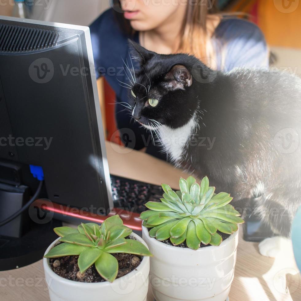 Young woman and black cat are carefully looking at computer screen. Remote E education or work at home. photo