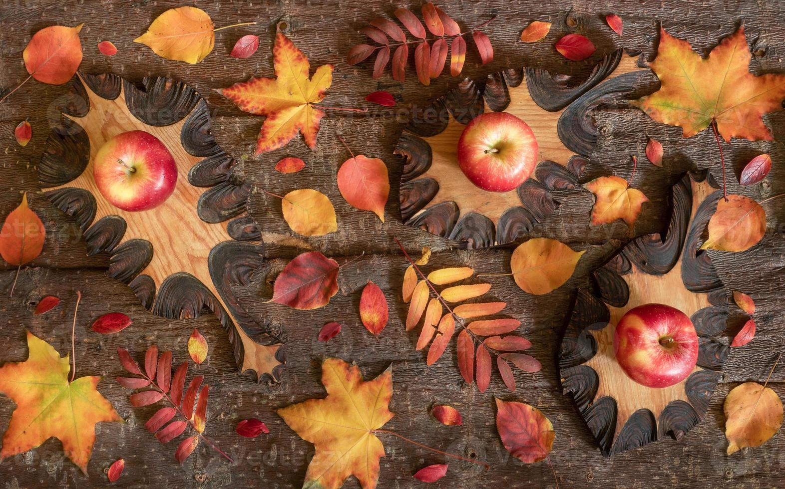 Autumn composition of colorful natural leaves and wooden carved leaves with apples on them on tree bark background. photo