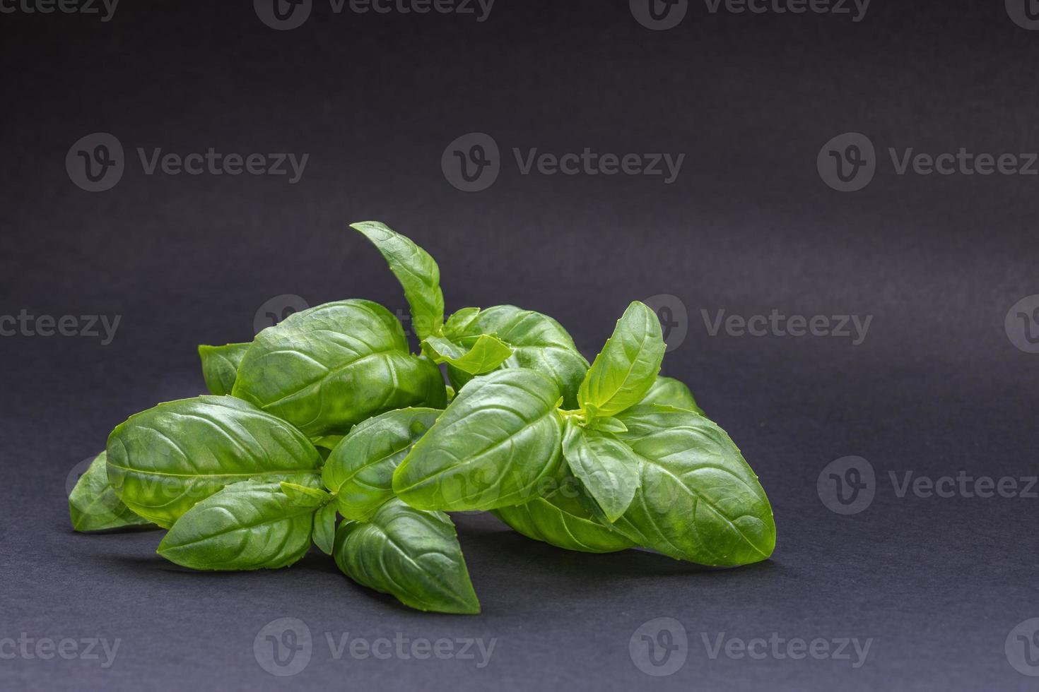 hojas verdes de albahaca fresca sobre fondo gris oscuro. foto