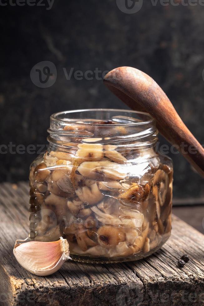 Close-up glass jar with homemade pickled forest honey agarics, wooden spoon and garlic on old wooden board. photo