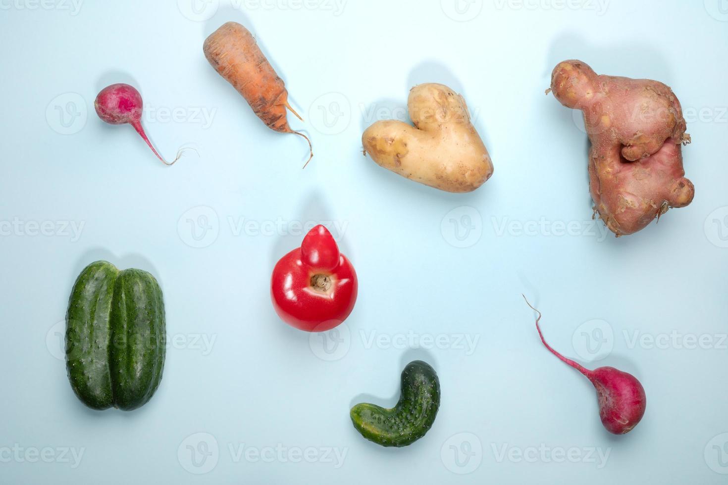 Ripe ugly vegetables laid out on light blue background. photo