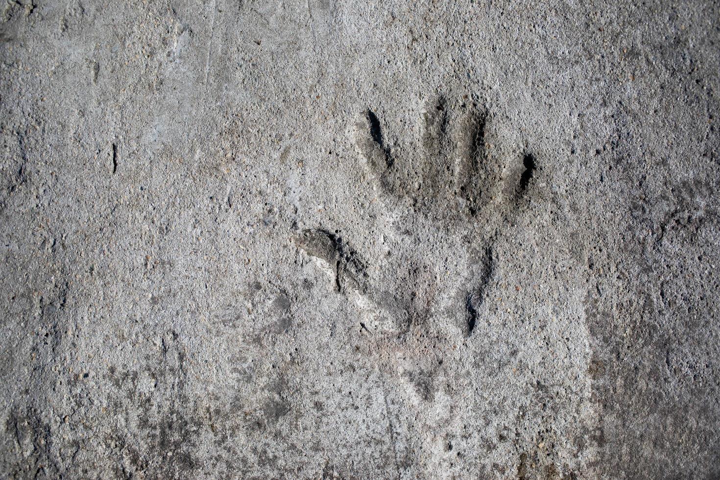 Human hand bas - relief on concrete surface. Copy space . Horizontal orientation. photo