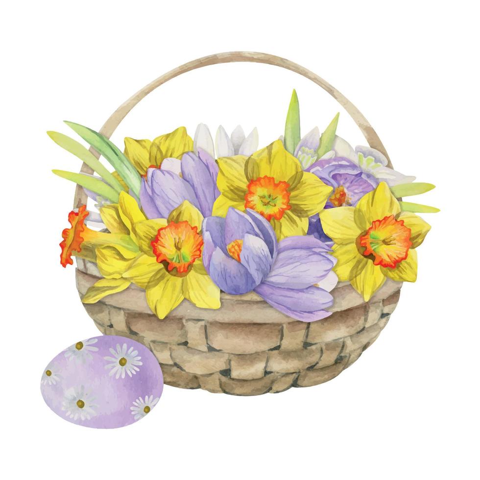Watercolor hand drawn Easter celebration clipart. Basket with painted eggs, grass, bunnies, spring flowers. Isolated on white background Design for invitations, gifts, greeting cards, print, textile vector