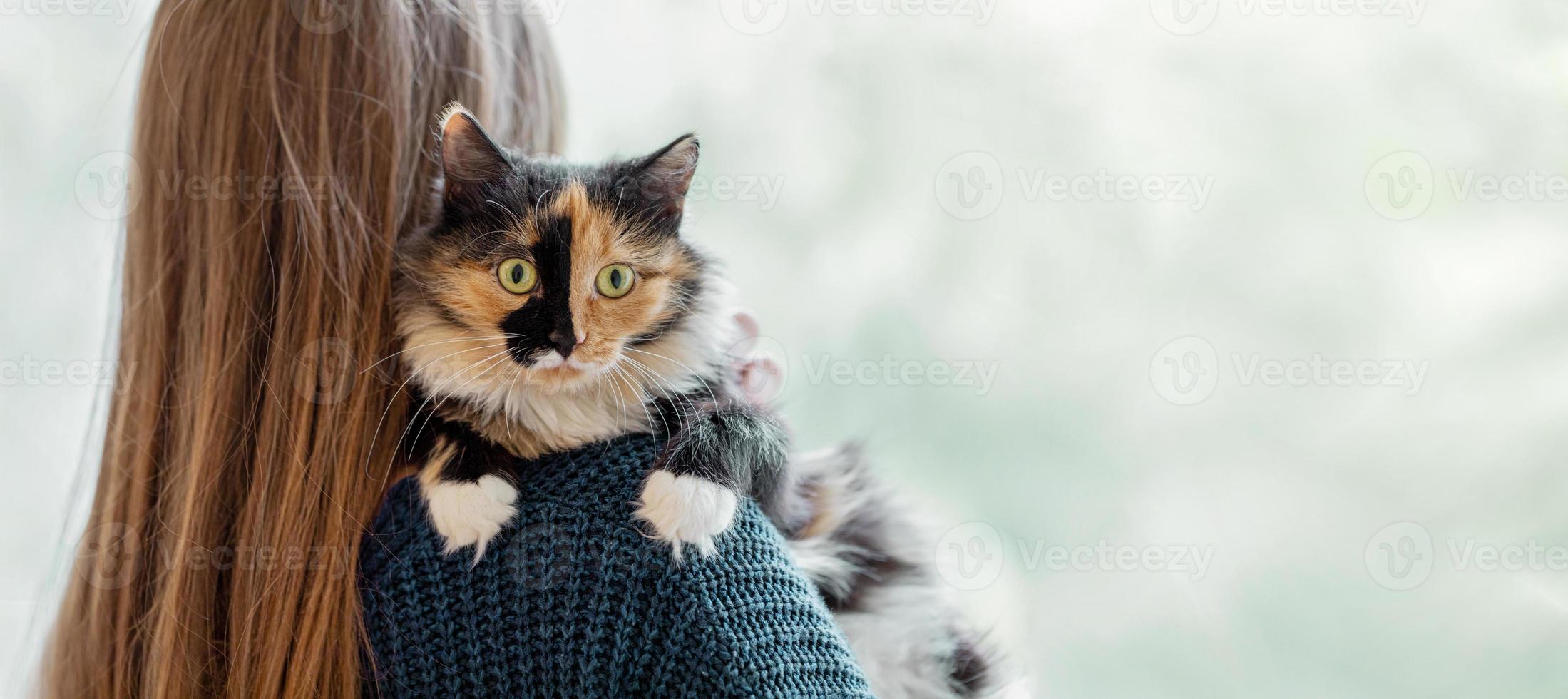 Woman with long hair holding on her shoulder and hugging her pet to her - three-color young cat. Banner with copy space. photo