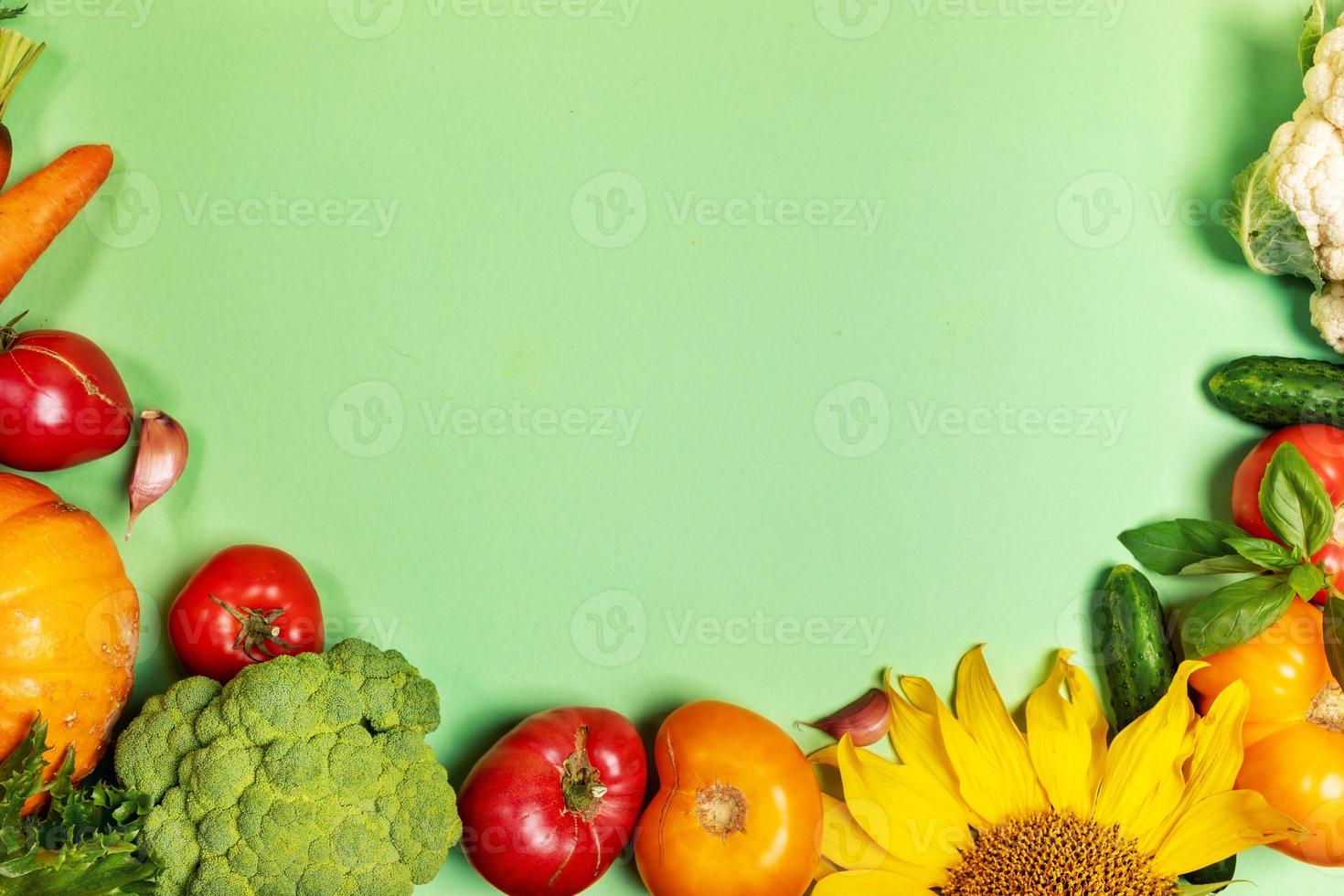 Frame of fresh farm vegetables on pastel green background with copy space for text. Top view. photo