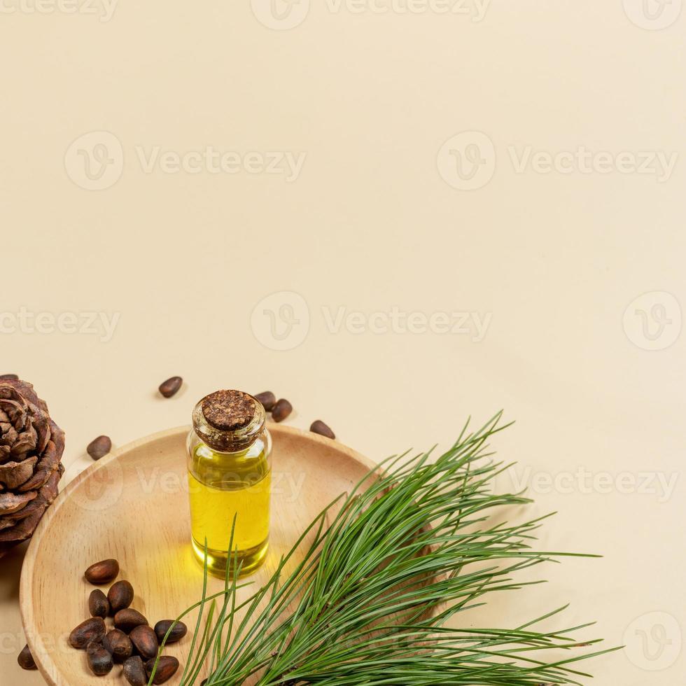 Essential cedar oil with cedar branch, cone, nuts on beige backdrop with copy space. photo