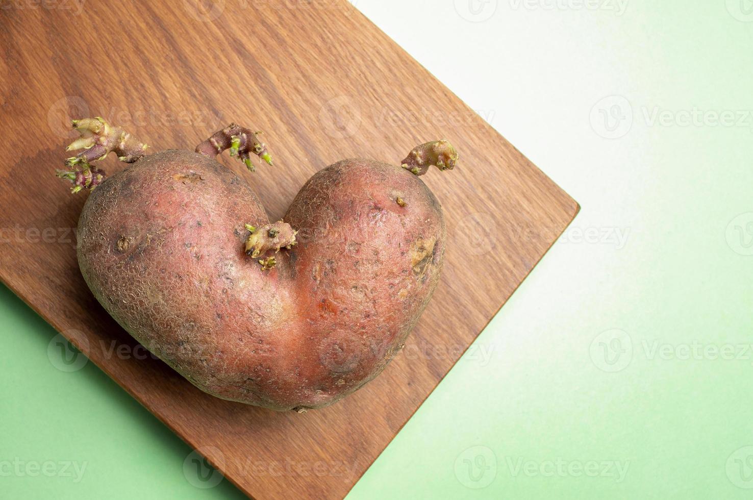 One ugly potato on wooden kitchen board  on green background. photo