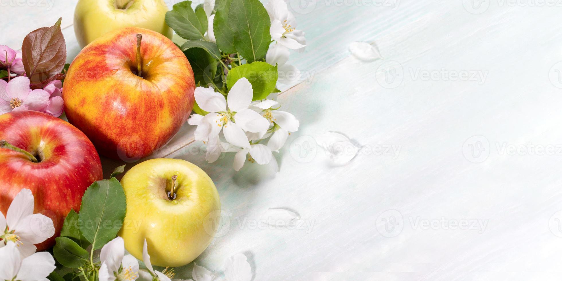 Ripe apples and Apple tree flowers close up on light wooden table. Banner. Copy space. photo