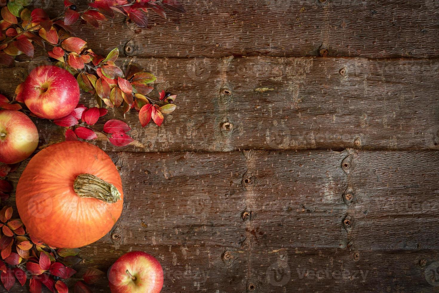 Autumn background with pumpkin, apples and branches with colorful leaves on natural tree bark background. photo