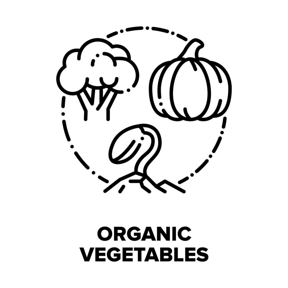 Organic Vegetables Bio Food Vector Concept Black Illustrations