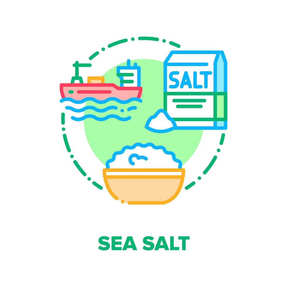 Sea Salt Spice Vector Concept Color Illustration