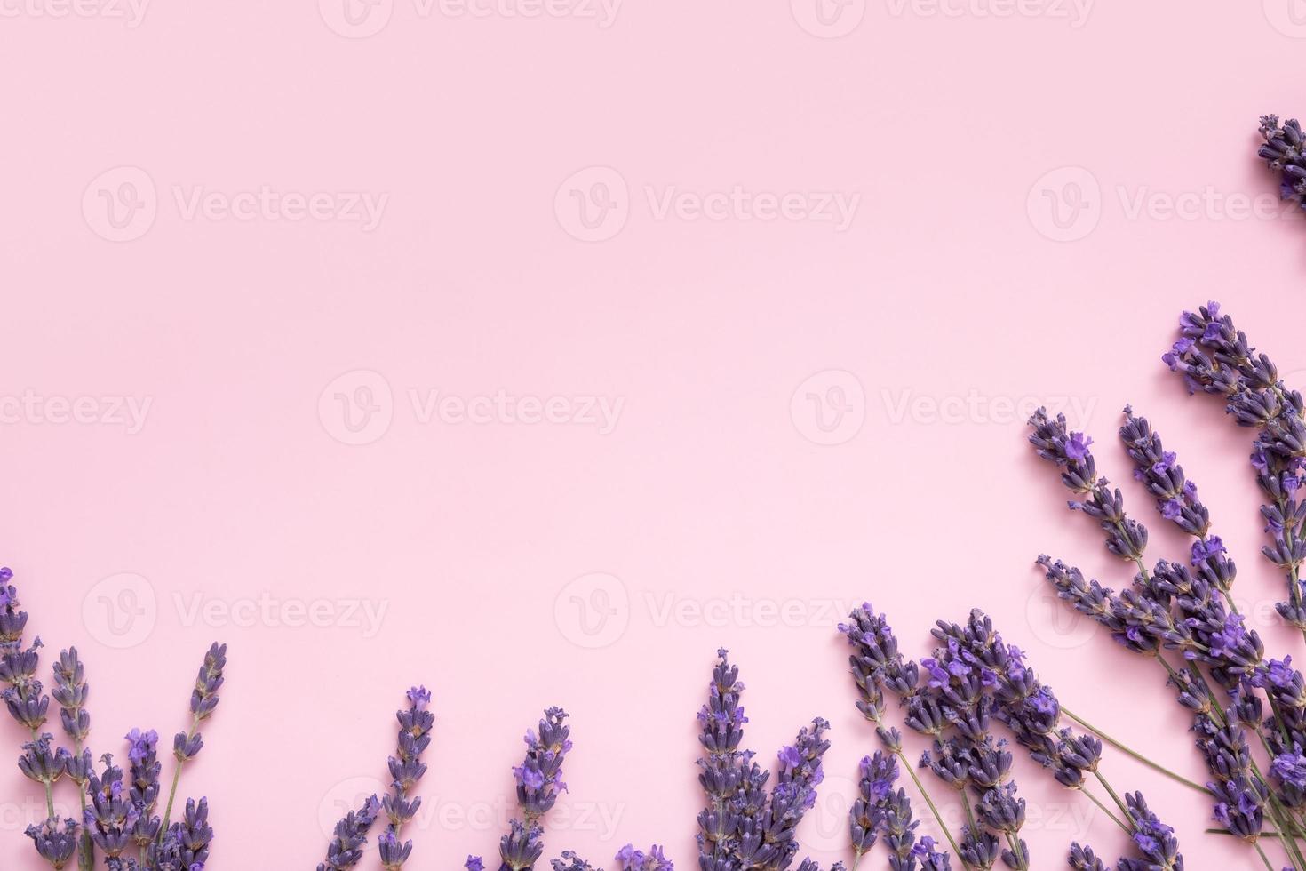 Frame made from lavender flowers on colored background top view. Copy space photo