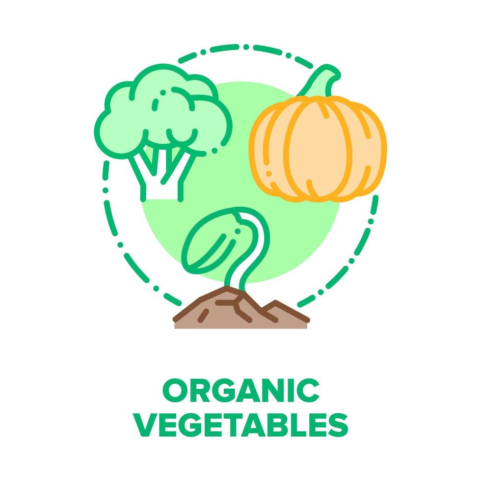 Organic Vegetables Bio Food Vector Concept Color