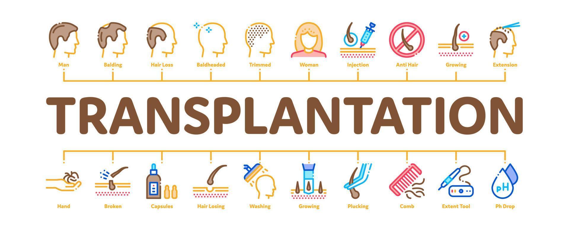 vector de banner infográfico mínimo de trasplante de cabello