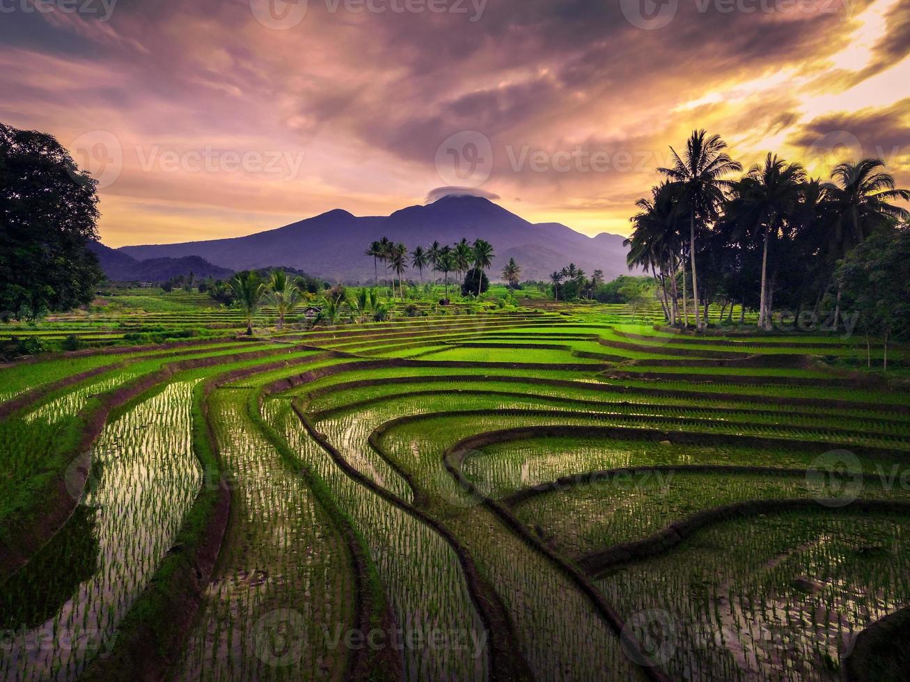 aerial view of indonesian rural area with mountains and rice fields in the morning photo