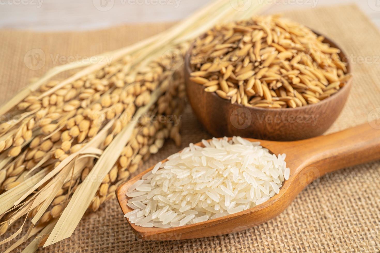 Jasmine white rice in wooden bowl with gold grain from agriculture farm. photo