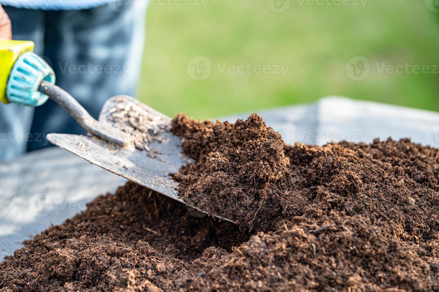 Hand holding peat moss organic matter improve soil for agriculture organic plant growing, ecology concept. photo