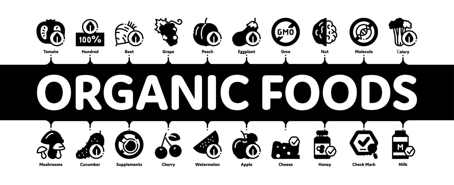 Organic Eco Foods Minimal Infographic Banner Vector