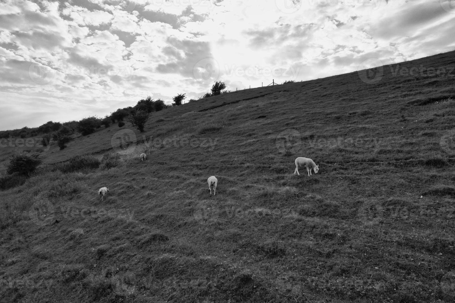 High Angle View of British Landscape in Classic Black and White Style photo