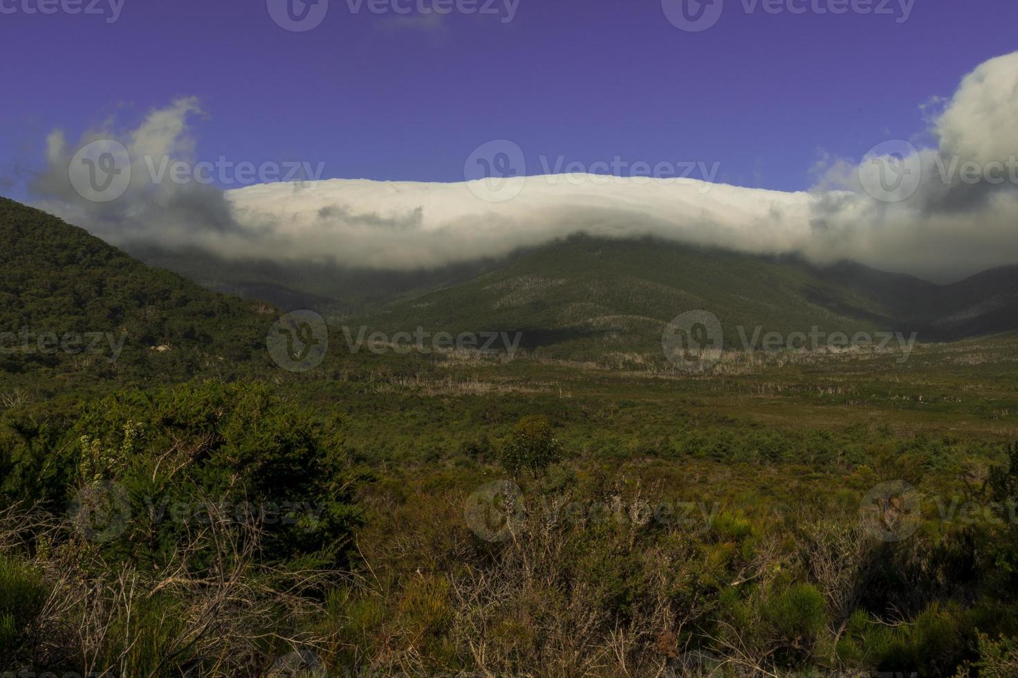 promontorio de wilson victoria australia foto