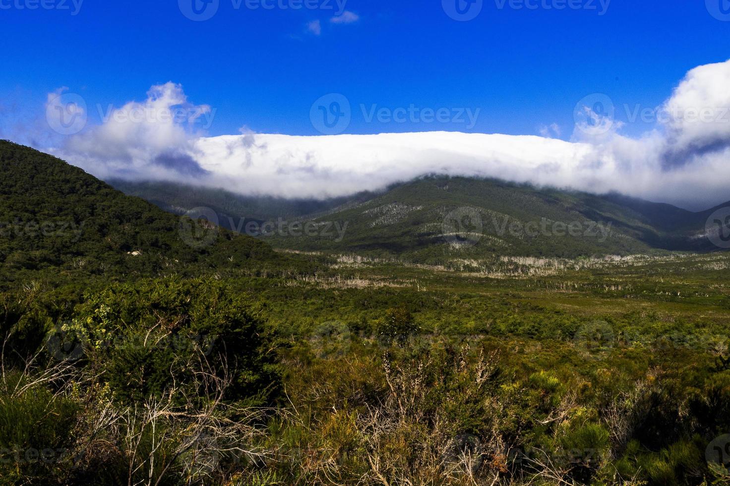 promontorio de wilson victoria australia foto