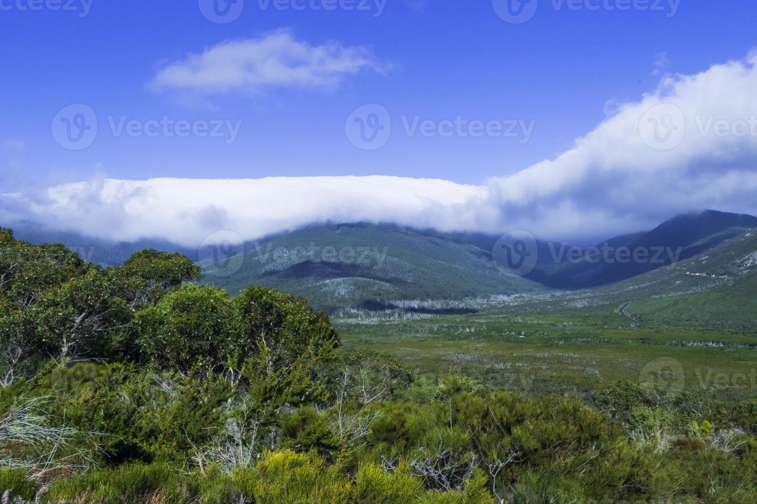 promontorio de wilson victoria australia foto