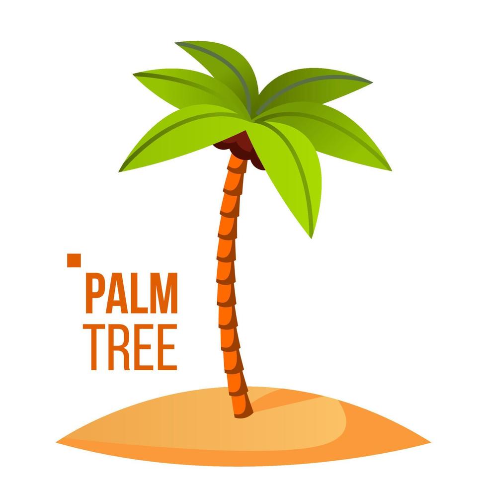 Palm Tree Vector. Green Leaf. Tropical Sand Beach. Isolated Flat Cartoon Illustration vector