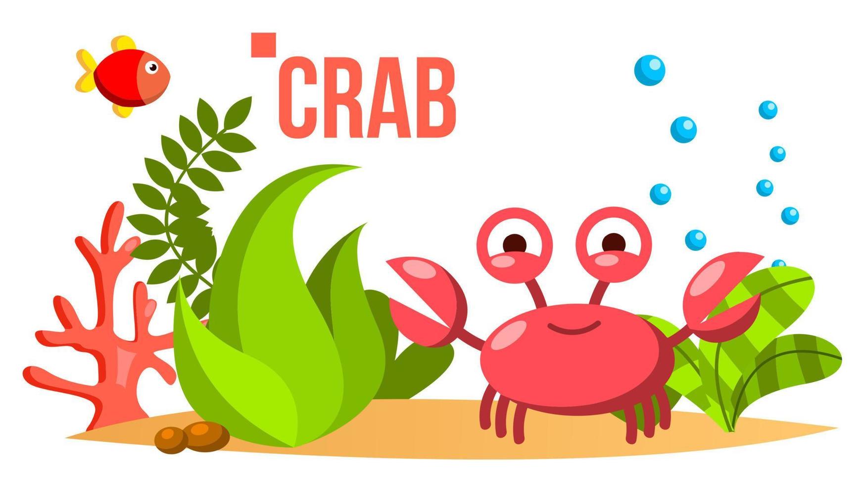 Crab Vector. Sea, Ocean Bottom With Seaweed And Fish. Isolated Flat Cartoon Illustration vector