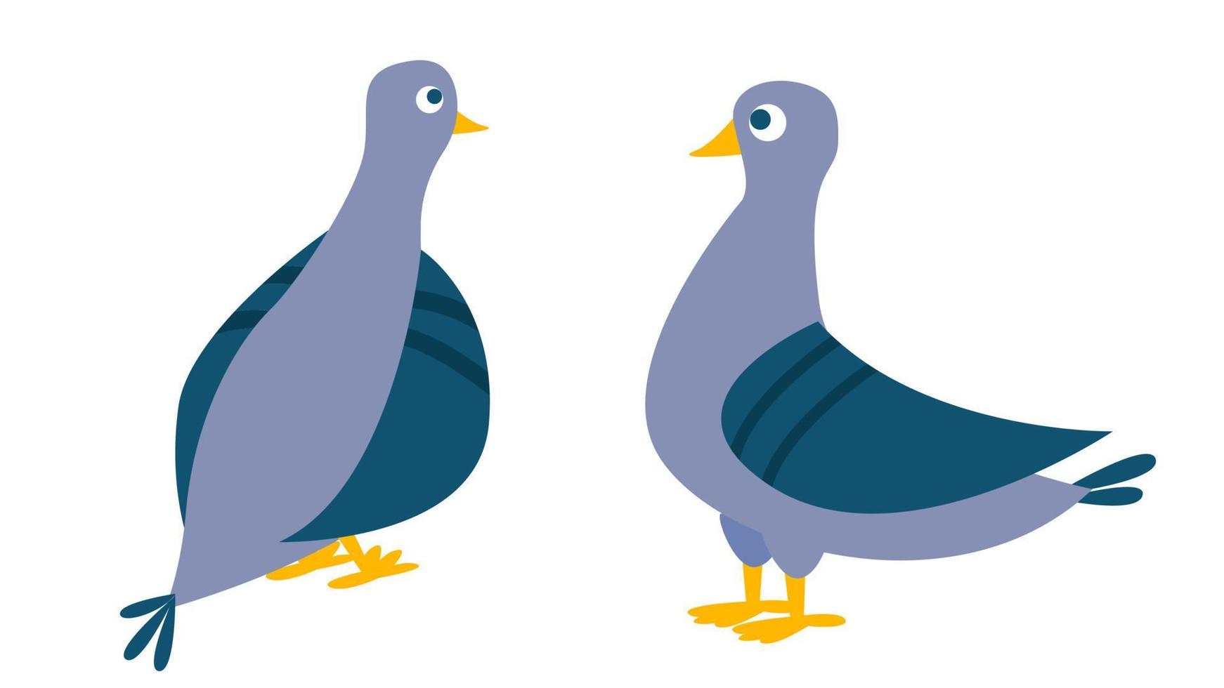 Dove Vector. Bird Pigeon. Isolated Cartoon Illustration vector