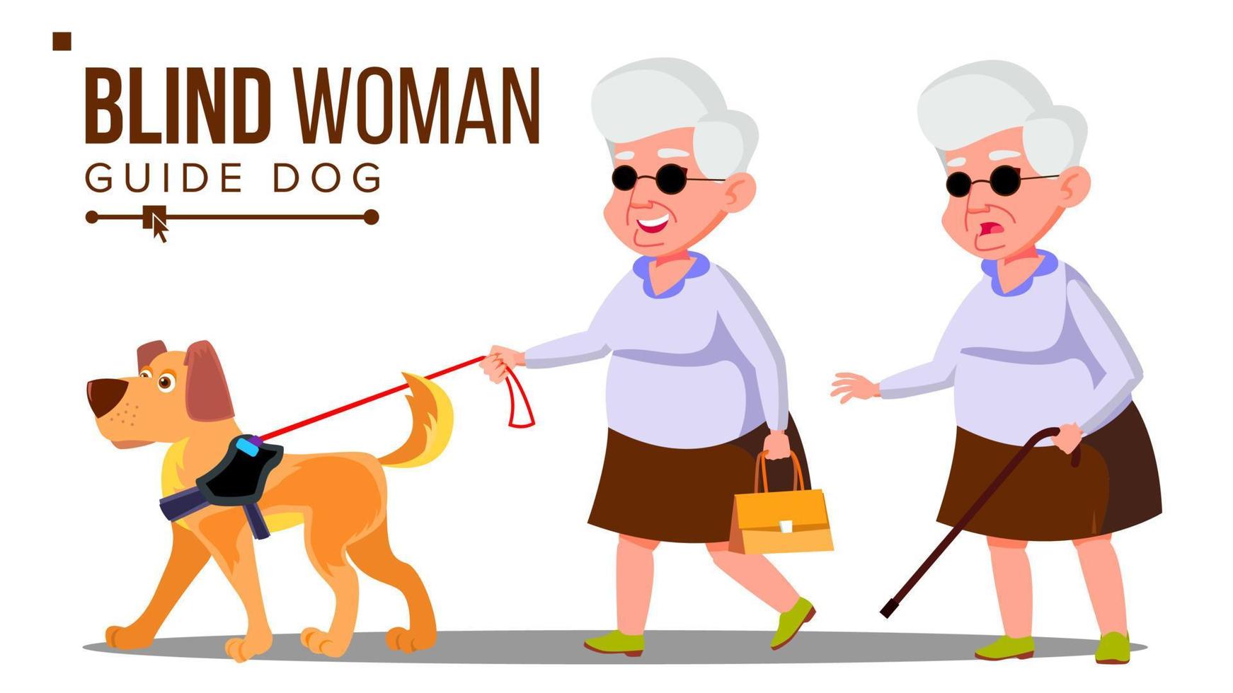 Blind Old Woman With Dark Glasses, Cane In Hand And Guide Dog Vector. Isolated Cartoon Illustration vector