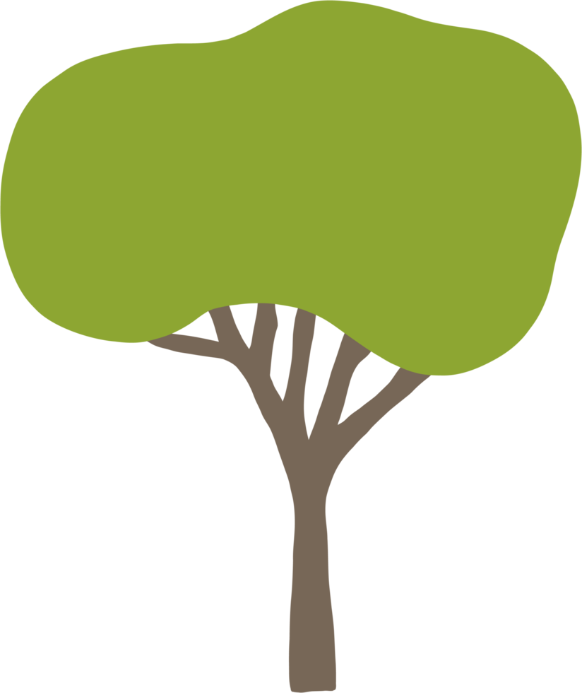 simplicity tree freehand drawing flat design. png