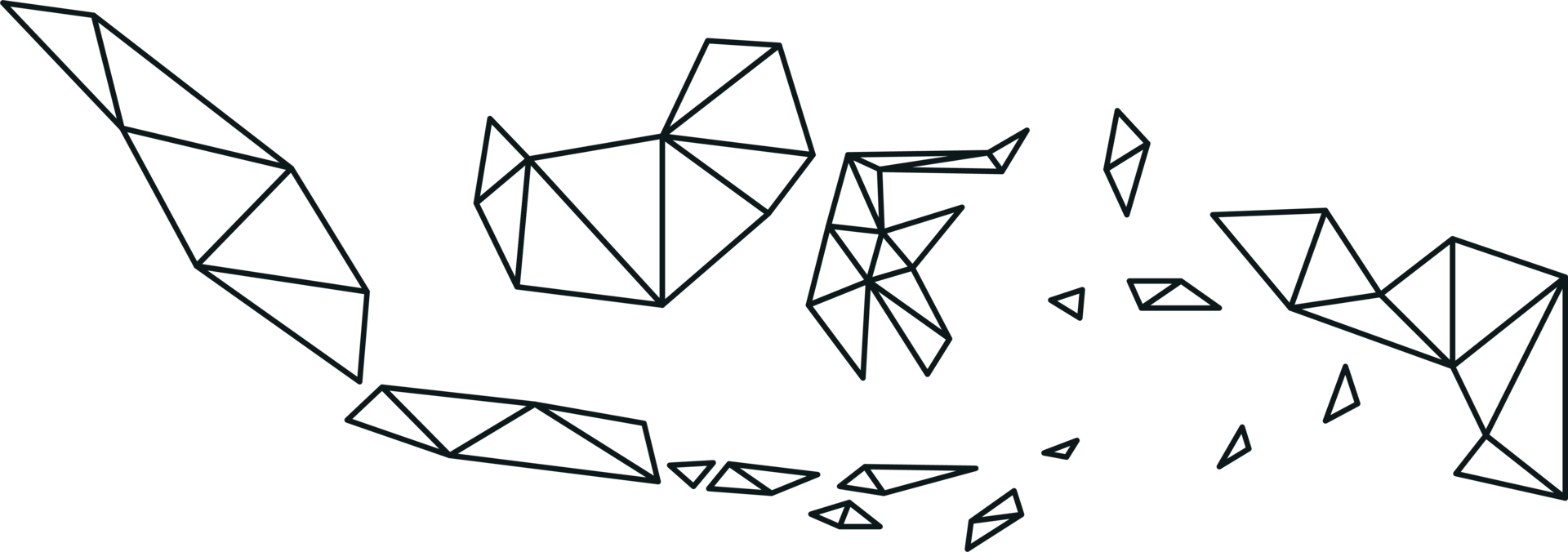mapa poligonal de indonesia sobre fondo transparente. png