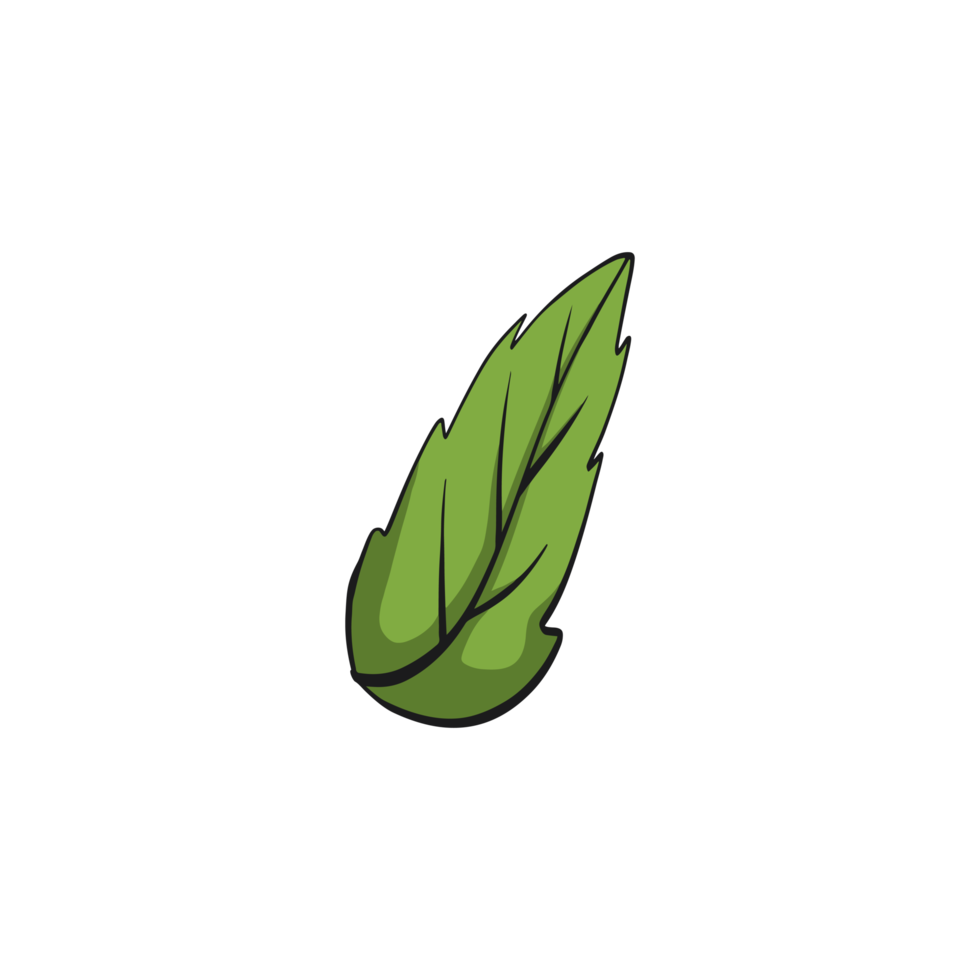 hand drawn leaf rose png