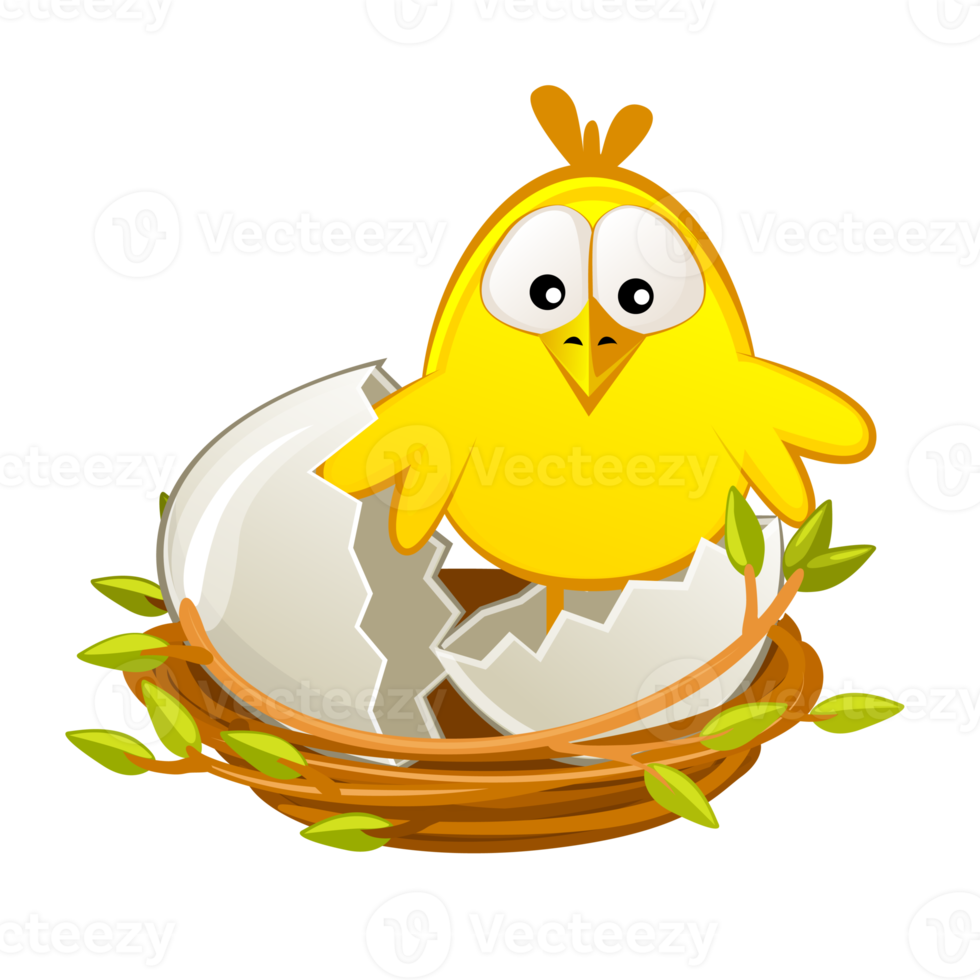 Isolated Newborn chicken in nest, Easter object png