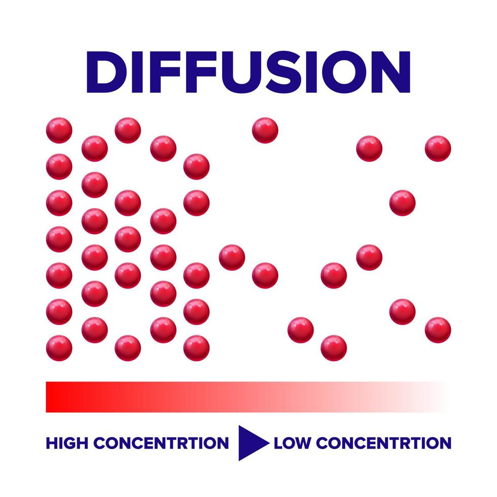 Diffusion Physics Process Vector Info Poster Template