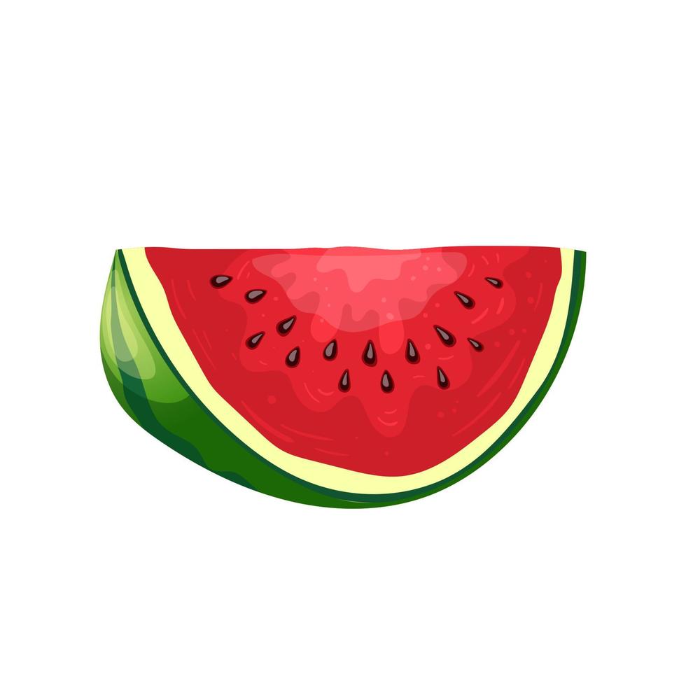 watermelon slice cartoon vector illustration
