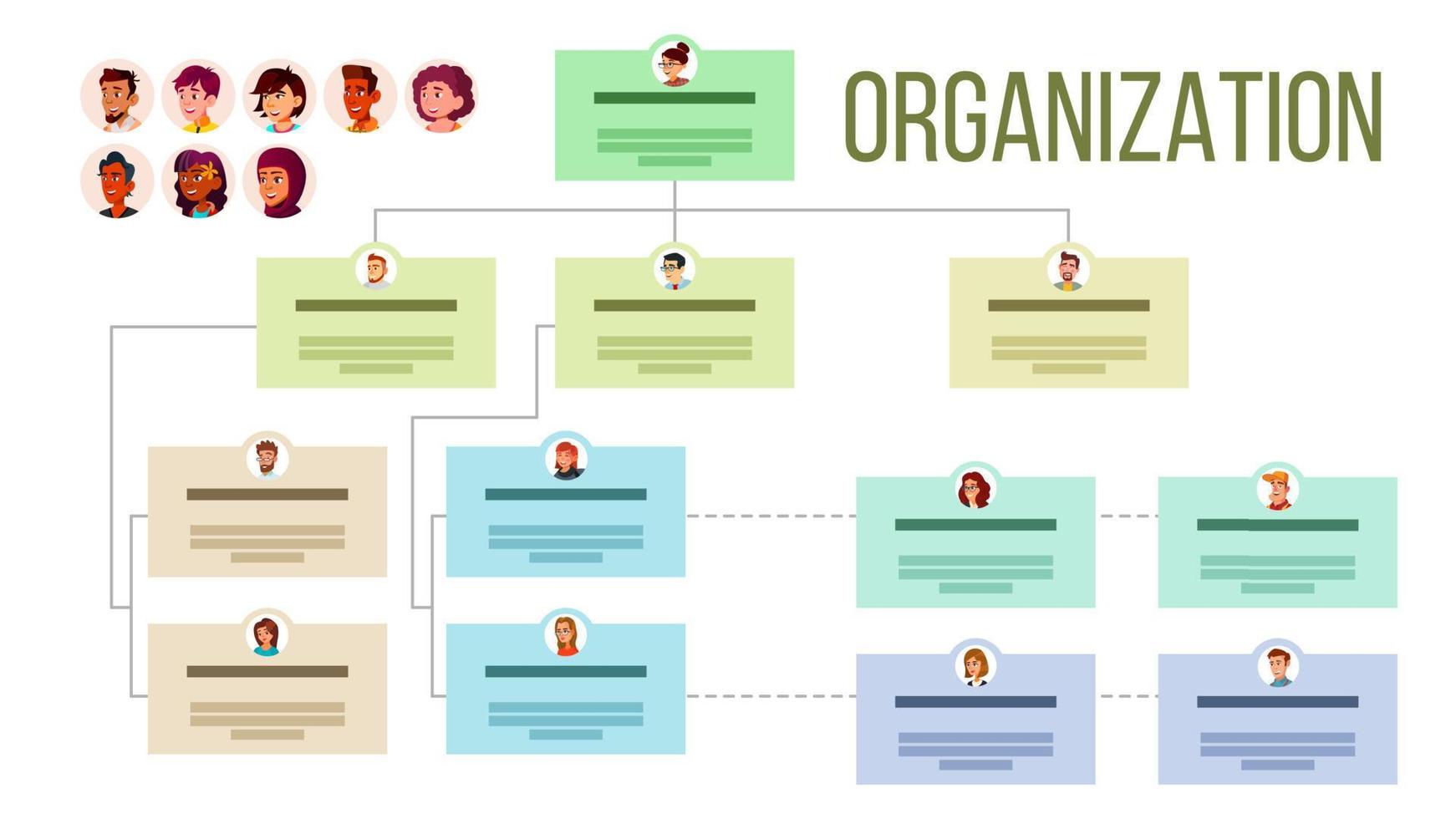 Organizational Structure, Company Organogram, Flowchart Vector Layout