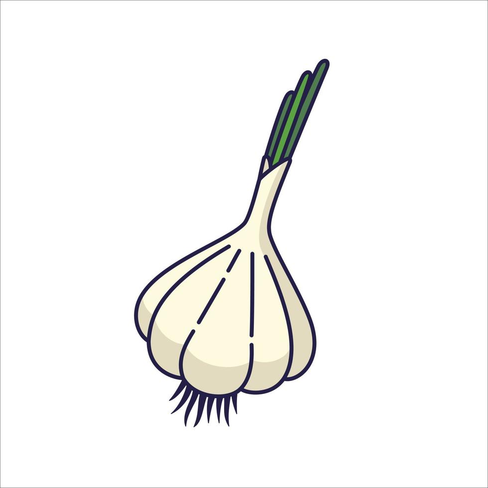 Cute garlic cartoon icon illustration. Food vegetable flat icon concept isolated on white background. Garlic in Doodle style. vector