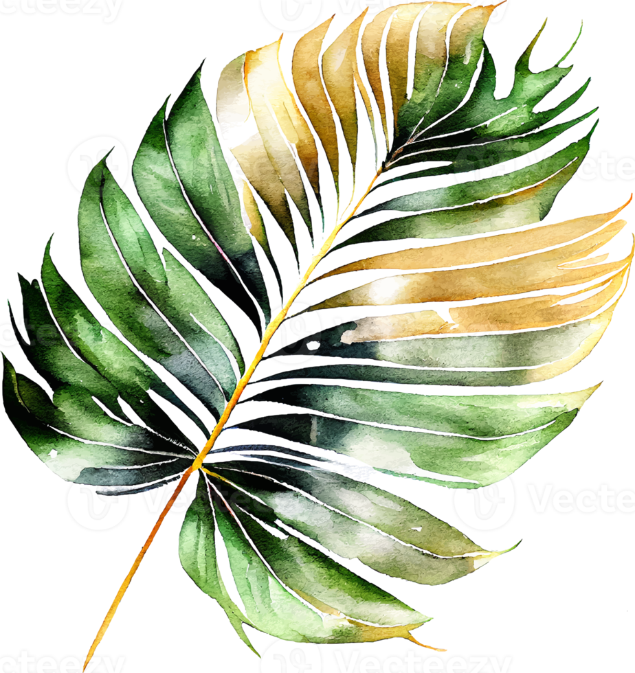 Green Natural Watercolor Palm Tropical Leaf png